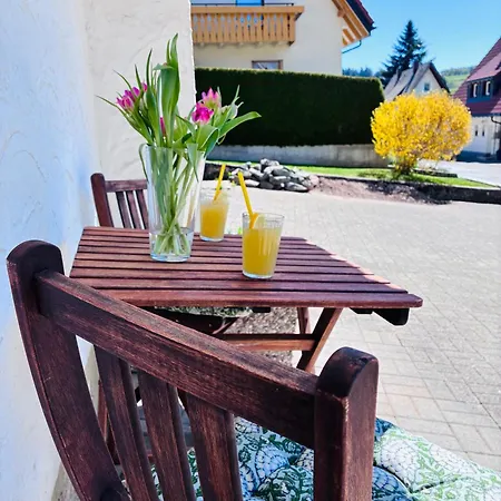 Schwarzwald-nest Lenzkirch