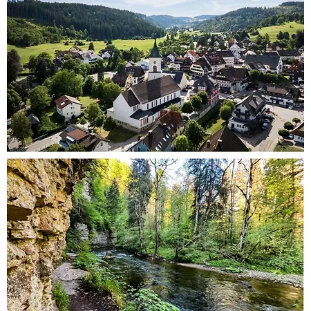 Schwarzwald-nest