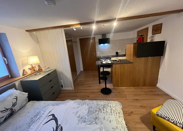 Schwarzwald-nest * Lenzkirch