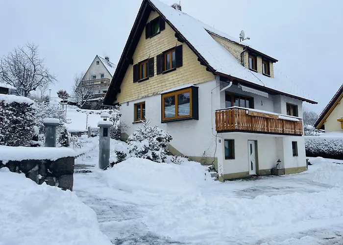 Schwarzwald-nest * Lenzkirch